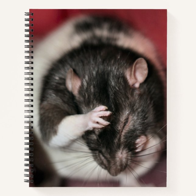 Headache Notebook (Front)