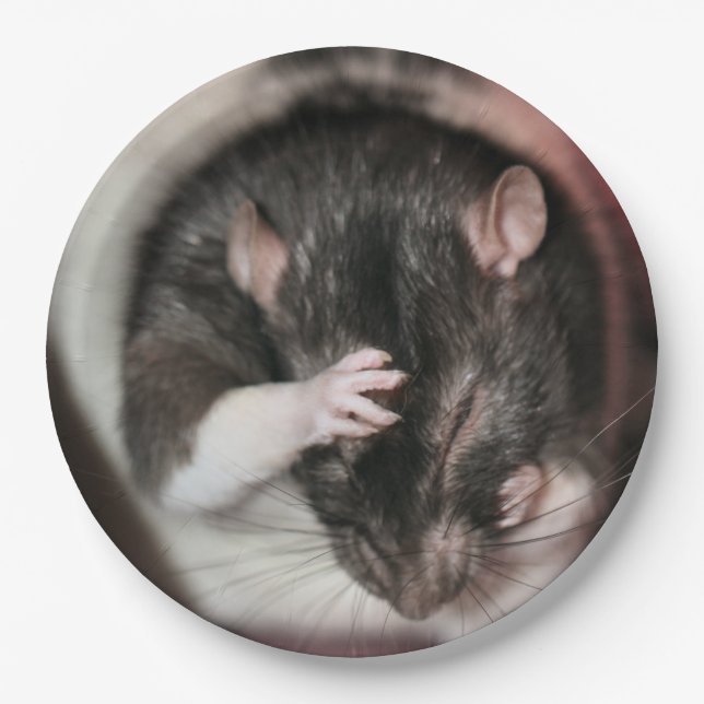 Headache! Paper Plate (Front)