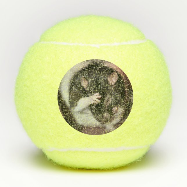 Headache Tennis Balls (Front)