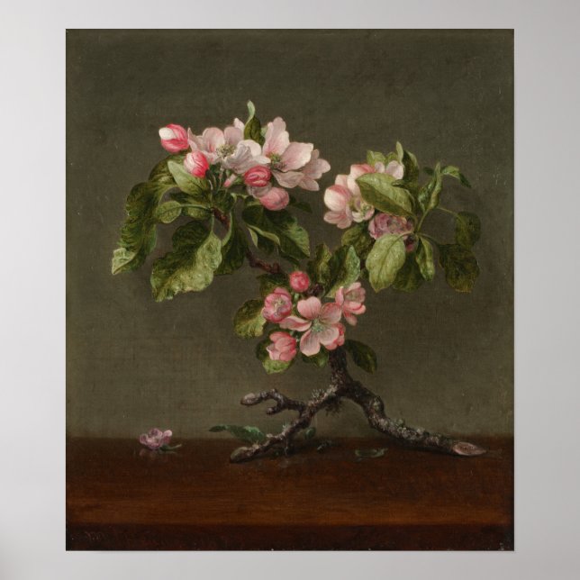 Heade - Apple Blossoms Poster (Front)