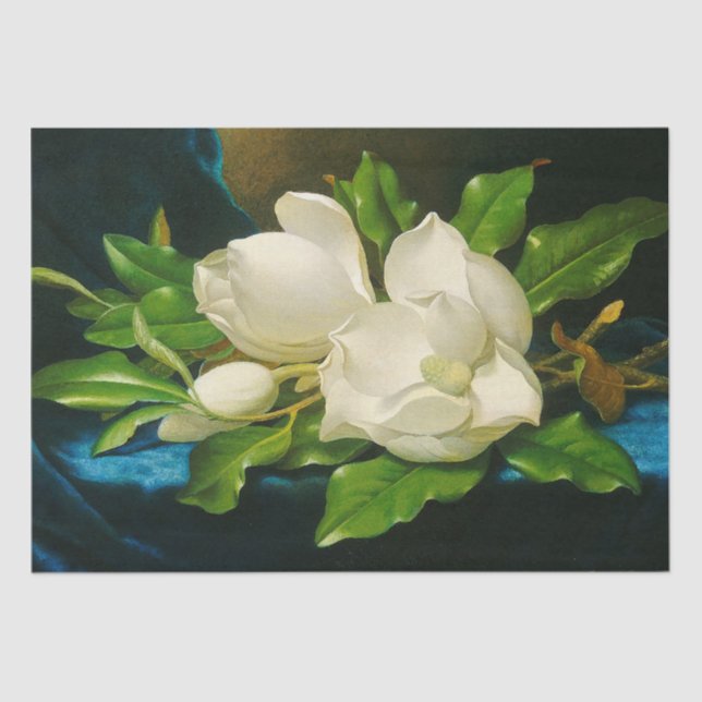 Heade Giant Magnolia Flower Blossoms Tissue Paper (Front)