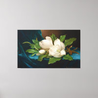 HEADE Giant Magnolias on a Blue Velvet Cloth 1890 