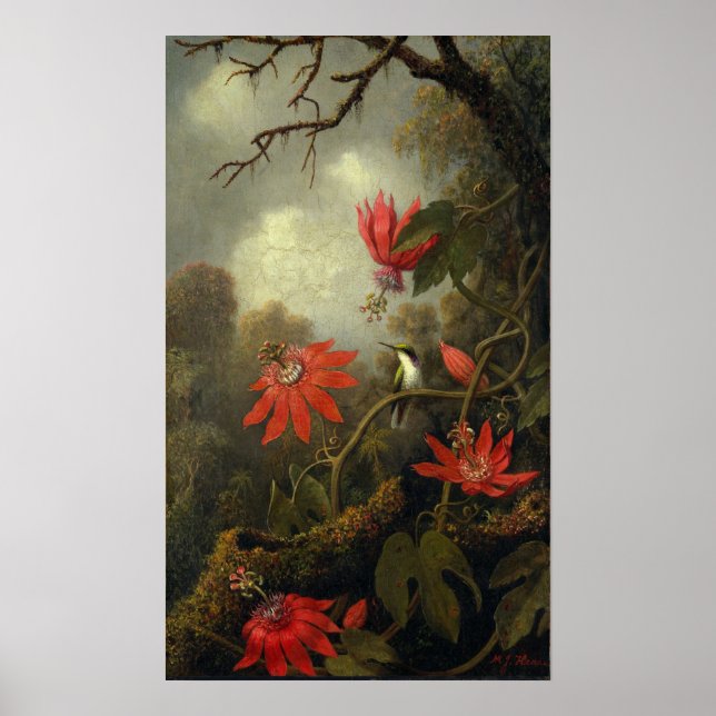 Heade - Hummingbird And Passion Flowers Poster (Front)