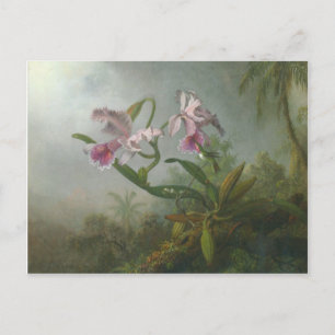 Heade - Two Orchids and a Humming Bird Postcard