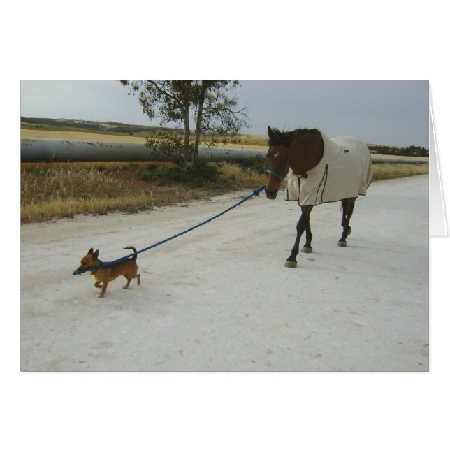 Heading for Home (Front Horizontal)