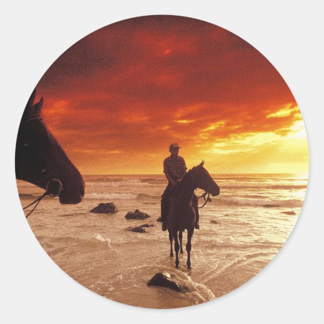 Heading For Home Classic Round Sticker (Front)