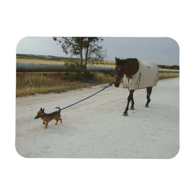 Heading for home magnet (Horizontal)