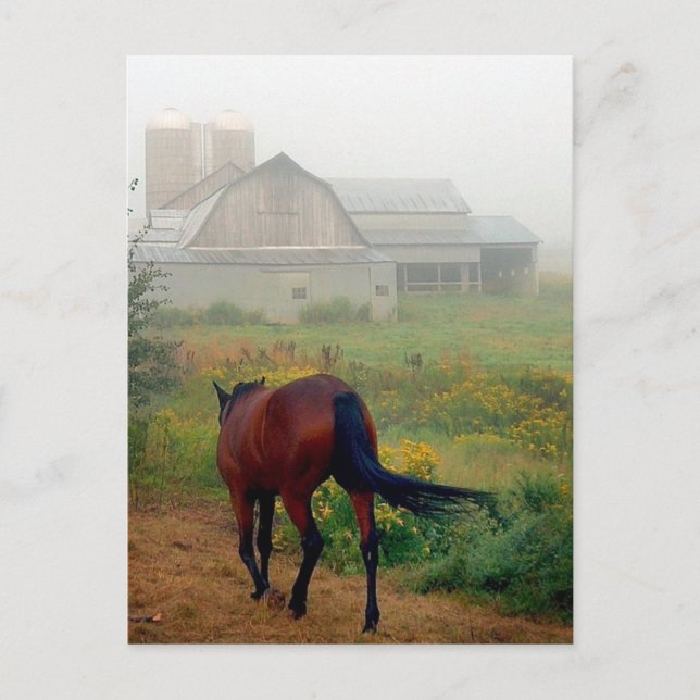 Heading Home Postcard (Front)