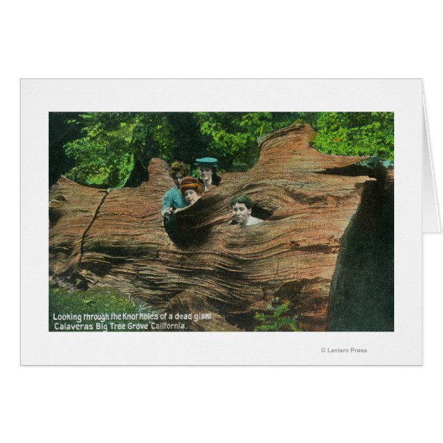Heads Exposed in Knot Holes of Giant Redwood (Front Horizontal)