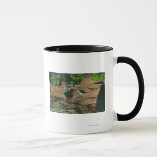 Heads Exposed in Knot Holes of Giant Redwood Mug