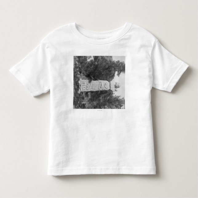 Headstone of Wild Bill Hickock's Grave Photograp Toddler T-Shirt (Front)