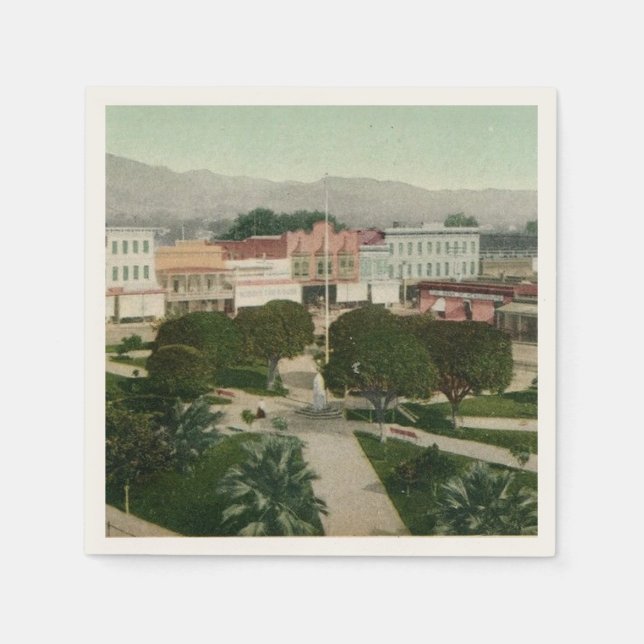  Healdsburg CA Plaza Postcard Napkin (Front)