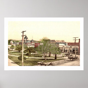 Healdsburg Town Center Poster Print