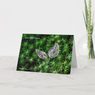 Healing in Nature Card