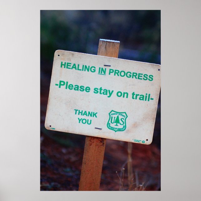 Healing In Progress Poster (Front)