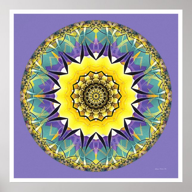 Healing Mandala 5 Poster (Front)