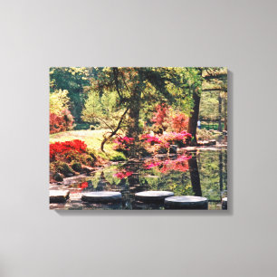 Healing Path Canvas Print