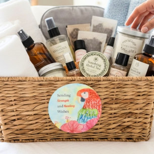 Healing Scarlet Macaws with Pink Hibiscus Classic Round Sticker