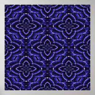 Healing succulents...... poster