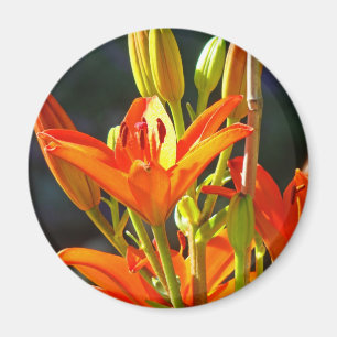 Healing Touch magnets Orange Lily Flowers