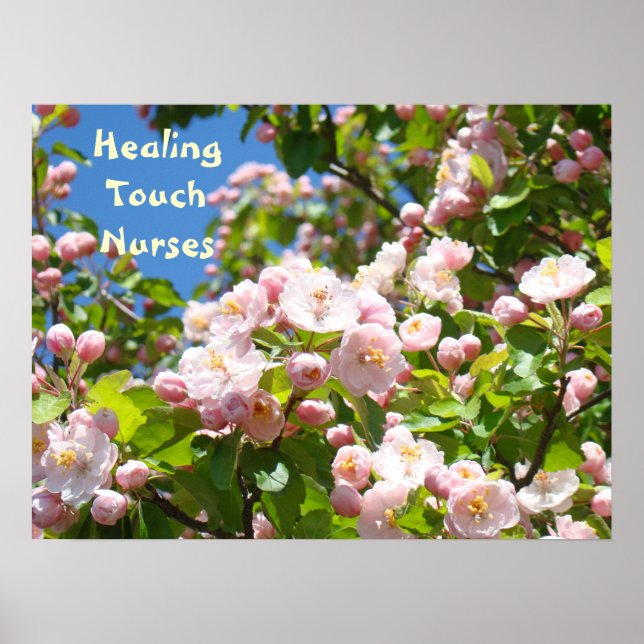Healing Touch Nurses posters Pink Blossoms Nursing (Front)
