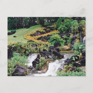 Healing Water Postcard