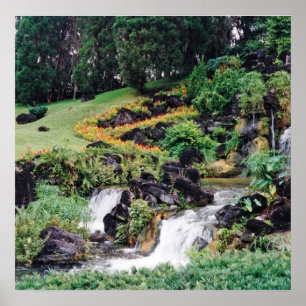 Healing Water Poster