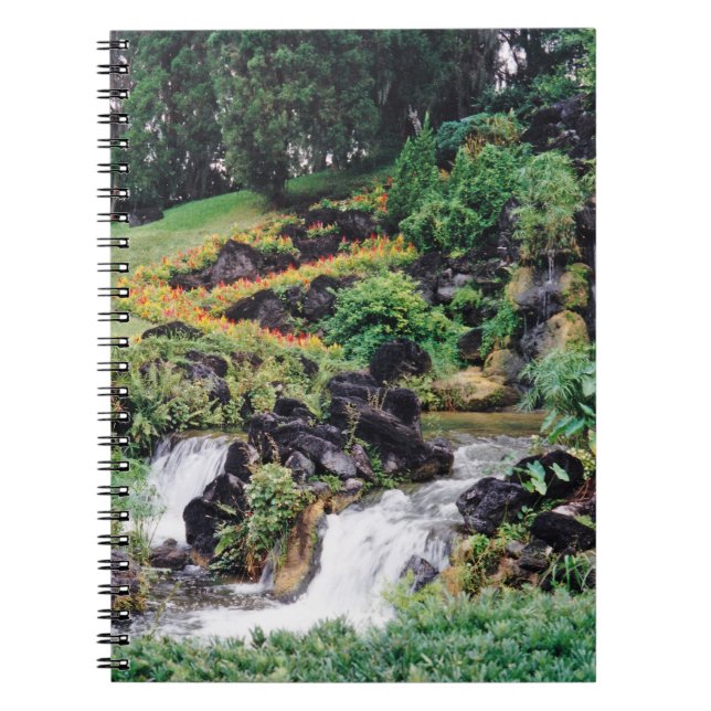 Healing Water Spiral Notebook (Front)