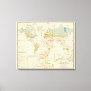 Health, disease canvas print