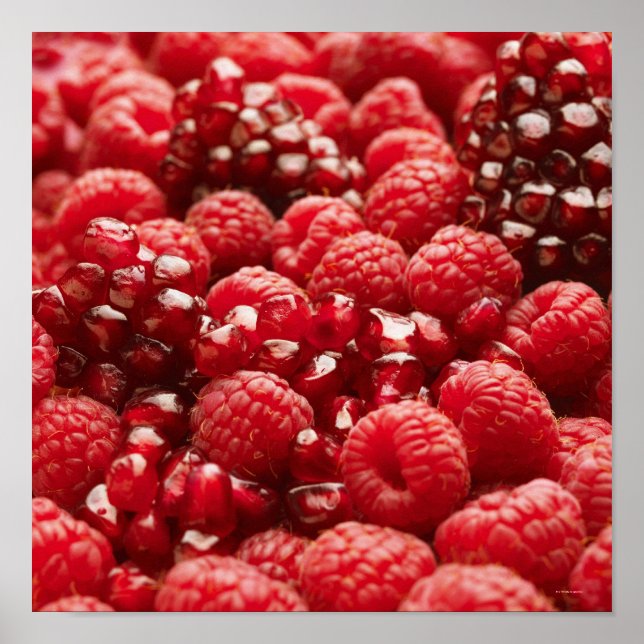 Healthy and nutritious red berries poster (Front)