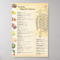 Healthy Digestive System
