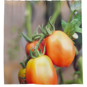Healthy Food Shower Curtain