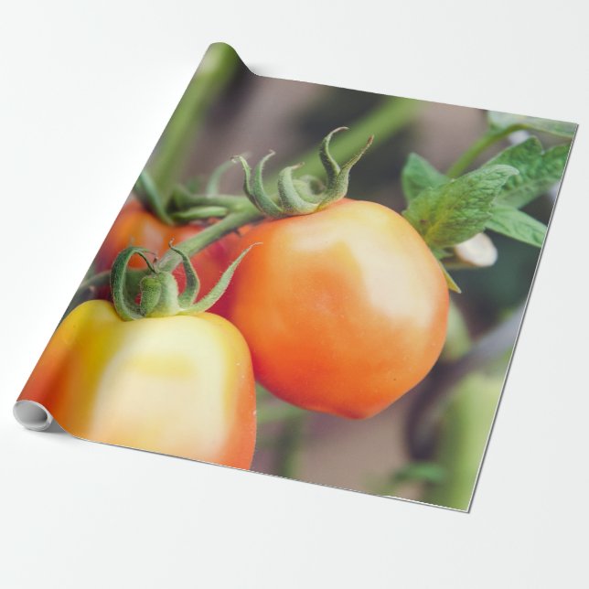 Healthy Food Wrapping Paper (Unrolled)