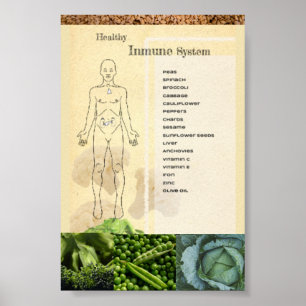Healthy Immune System Poster