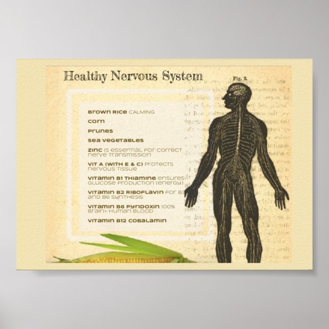 Healthy Nervous System Poster (Front)