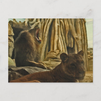 Hear me Roar! Postcard