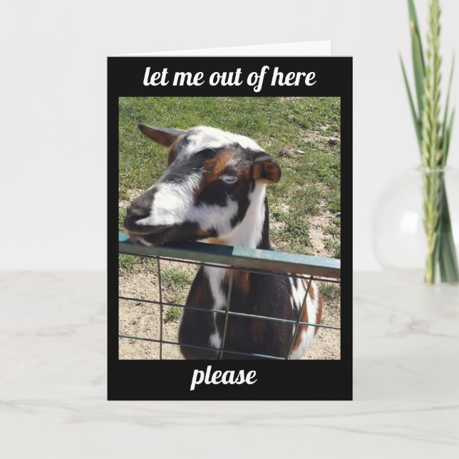 HEAR YOU ARE "UNDER THE WEATHER" GET WELL CARD (Front)