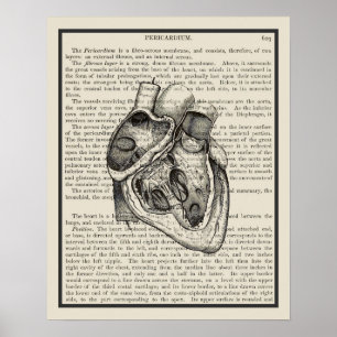 Heart Anatomy Book Art Print #2