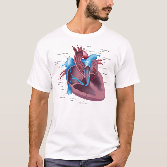 Heart Anatomy cool t-shirt (Front)