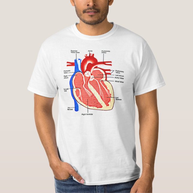 Heart Anatomy Geek T-Shirt (Front)