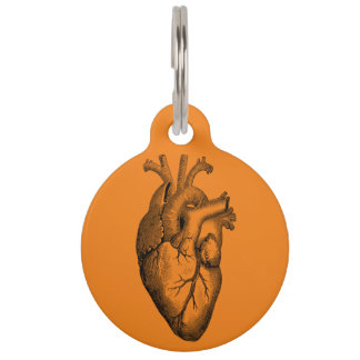 Heart Anatomy Science Orange Pet Tag