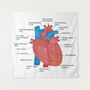 Heart anatomy tapestry