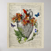 Heart Anatomy with Flowers Butterflies Hummingbird