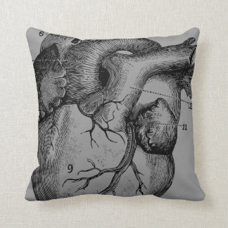 heart and brain - anatomy cushion