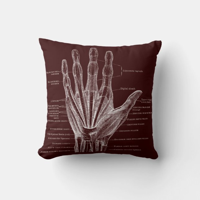 heart and hand - anatomy cushion (Front)