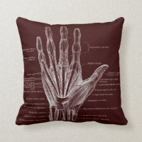 heart and hand - anatomy
