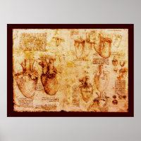 Heart And Its Blood Vessels , Brown Canvas