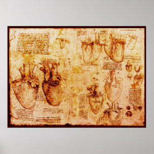 Heart And Its Blood Vessels , Brown Canvas Poster