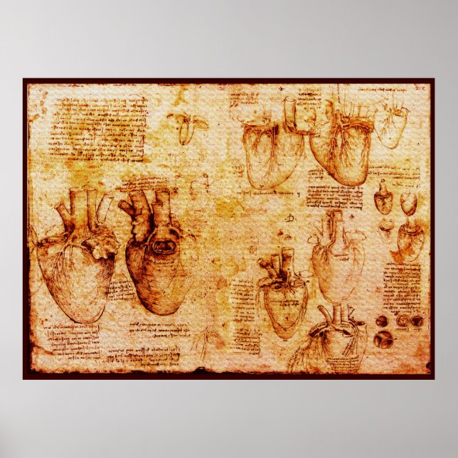 Heart And Its Blood Vessels , Brown Canvas Poster (Front)