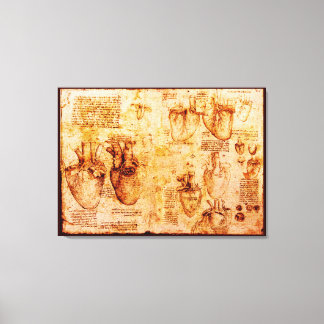Heart And Its Blood Vessels, Brown Canvas Print